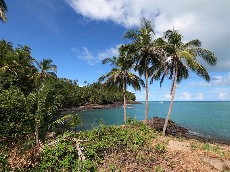 Iles du Salut - French Guiana - Tropic Alizés