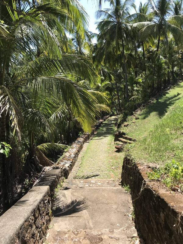 Iles du Salut - French Guiana - Tropic Alizés