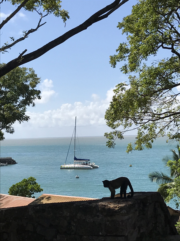 Iles du Salut - French Guiana - Tropic Alizés