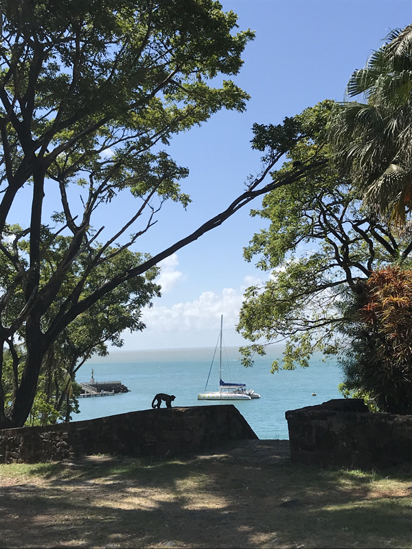 Iles du Salut - Guyane - Tropic Alizés