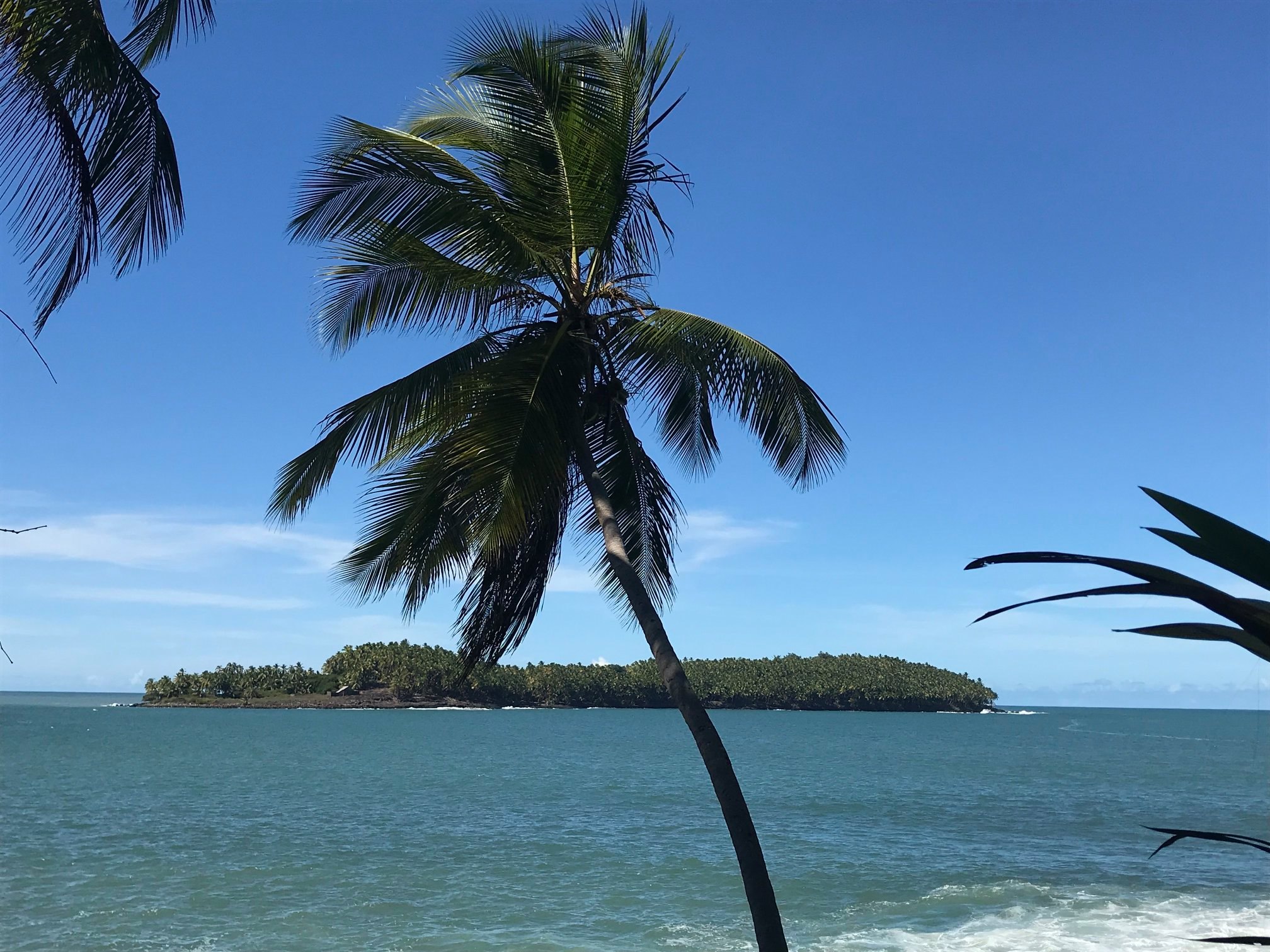 Iles du Salut - Guyane - Tropic Alizés