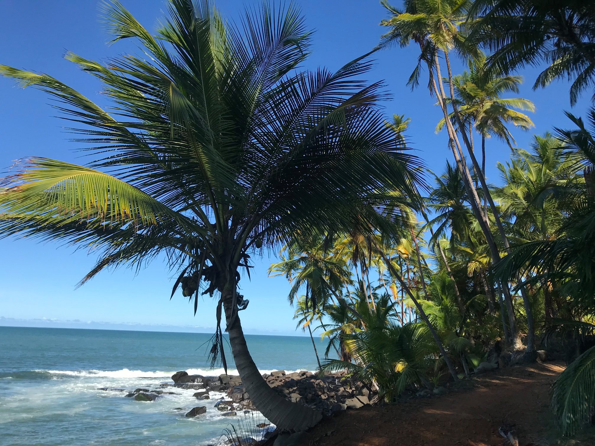 Iles du Salut - French Guiana - Tropic Alizés