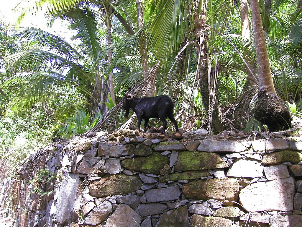 Iles du Salut - Guyane - Tropic Alizés