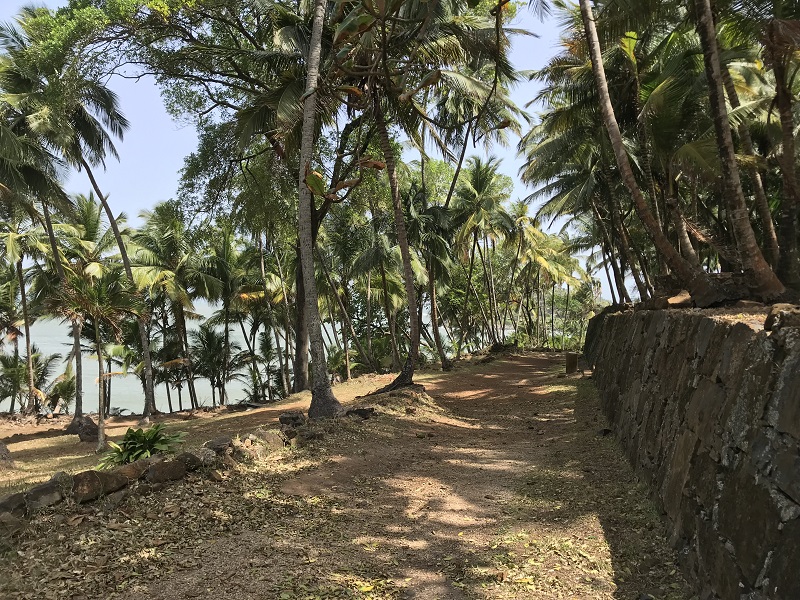 Iles du Salut - French Guiana - Tropic Alizés