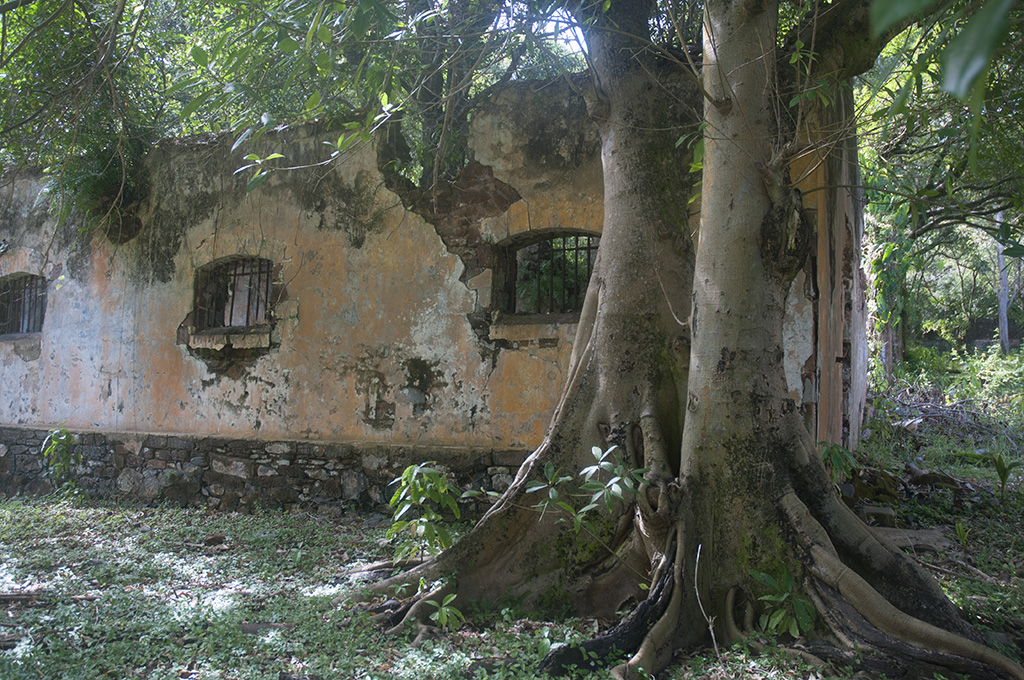 Iles du Salut - Guyane - Tropic Alizés